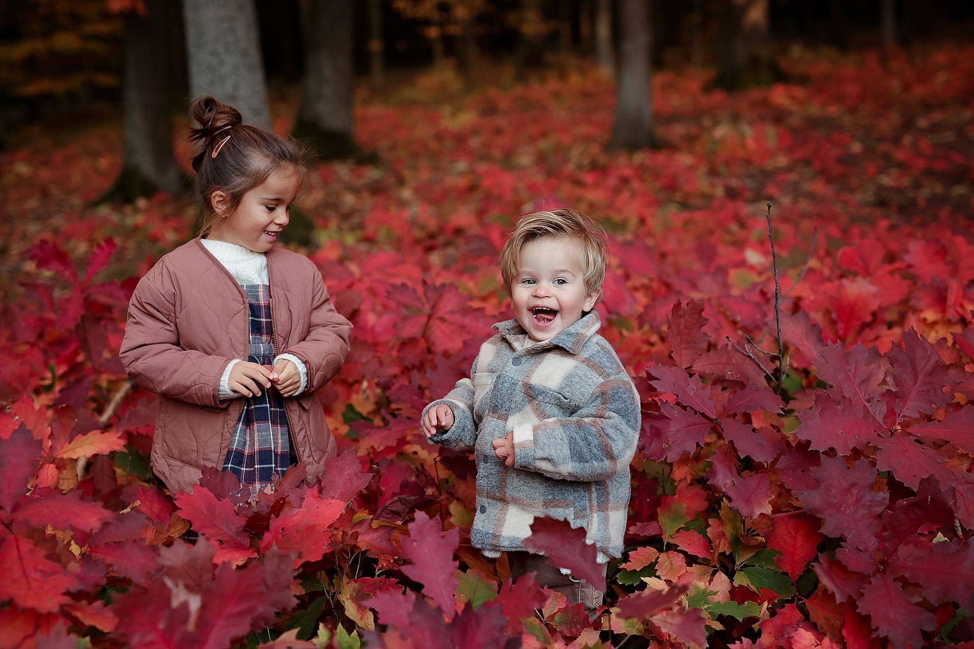 Foceni deti v prirode v lese, v cervenem listi