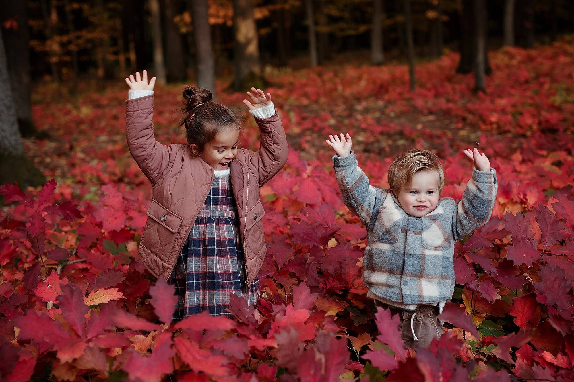 Foceni deti v prirode v lese, v cervenem listi