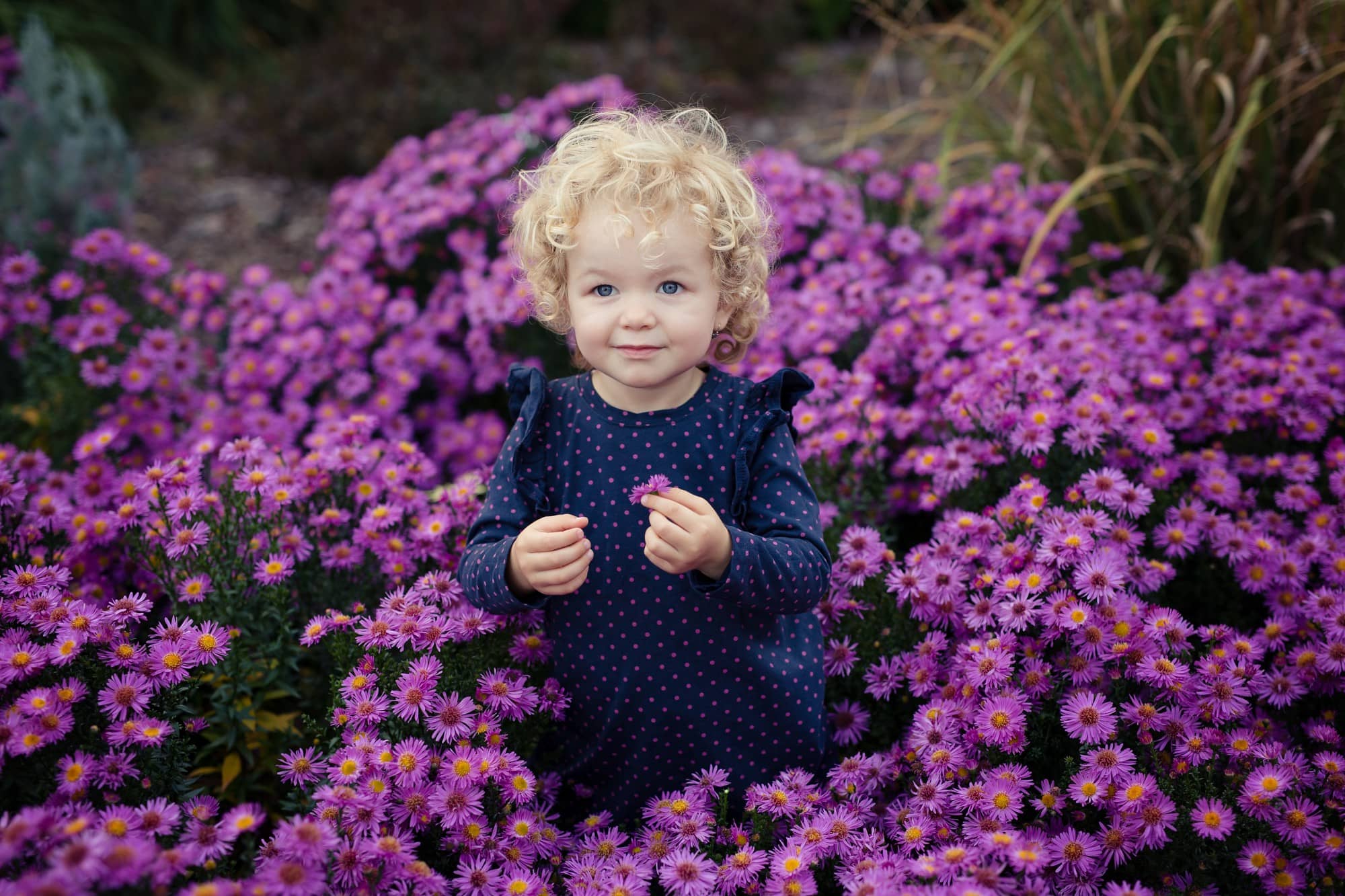 Dětský portrét holčičky v přírodě a krásné fialové chryzantémy