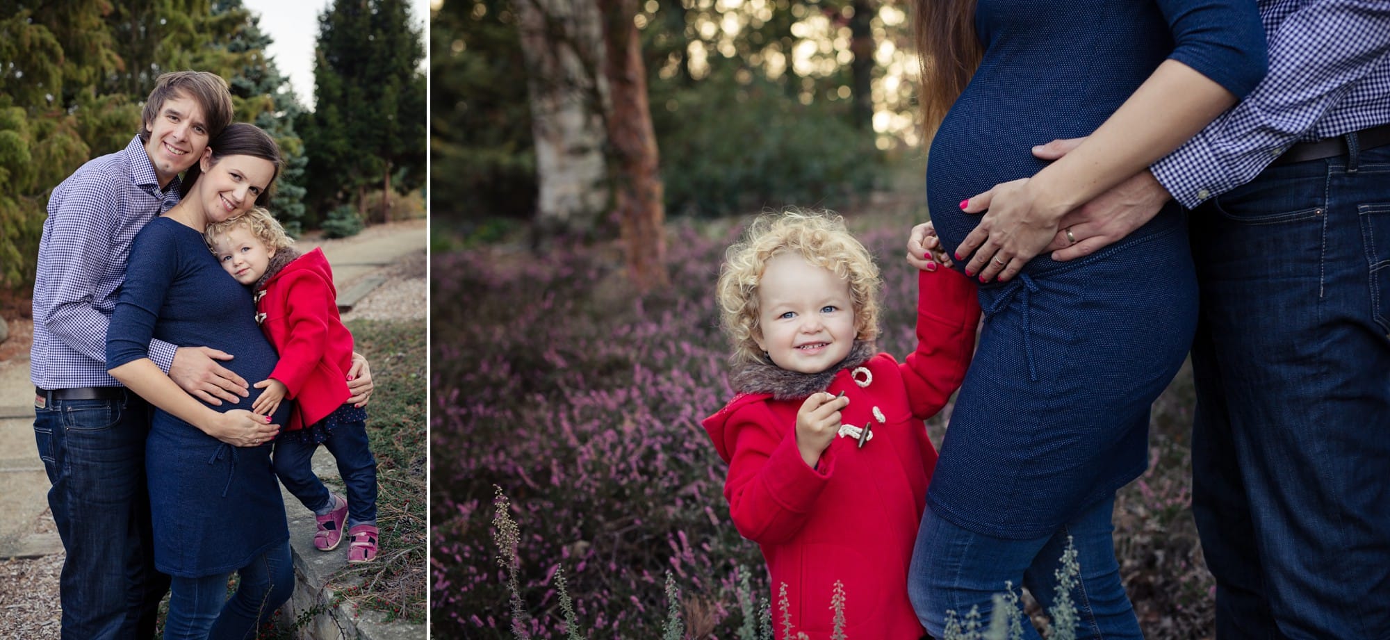Rodinné těhotenské foto v přírodě s vřesy